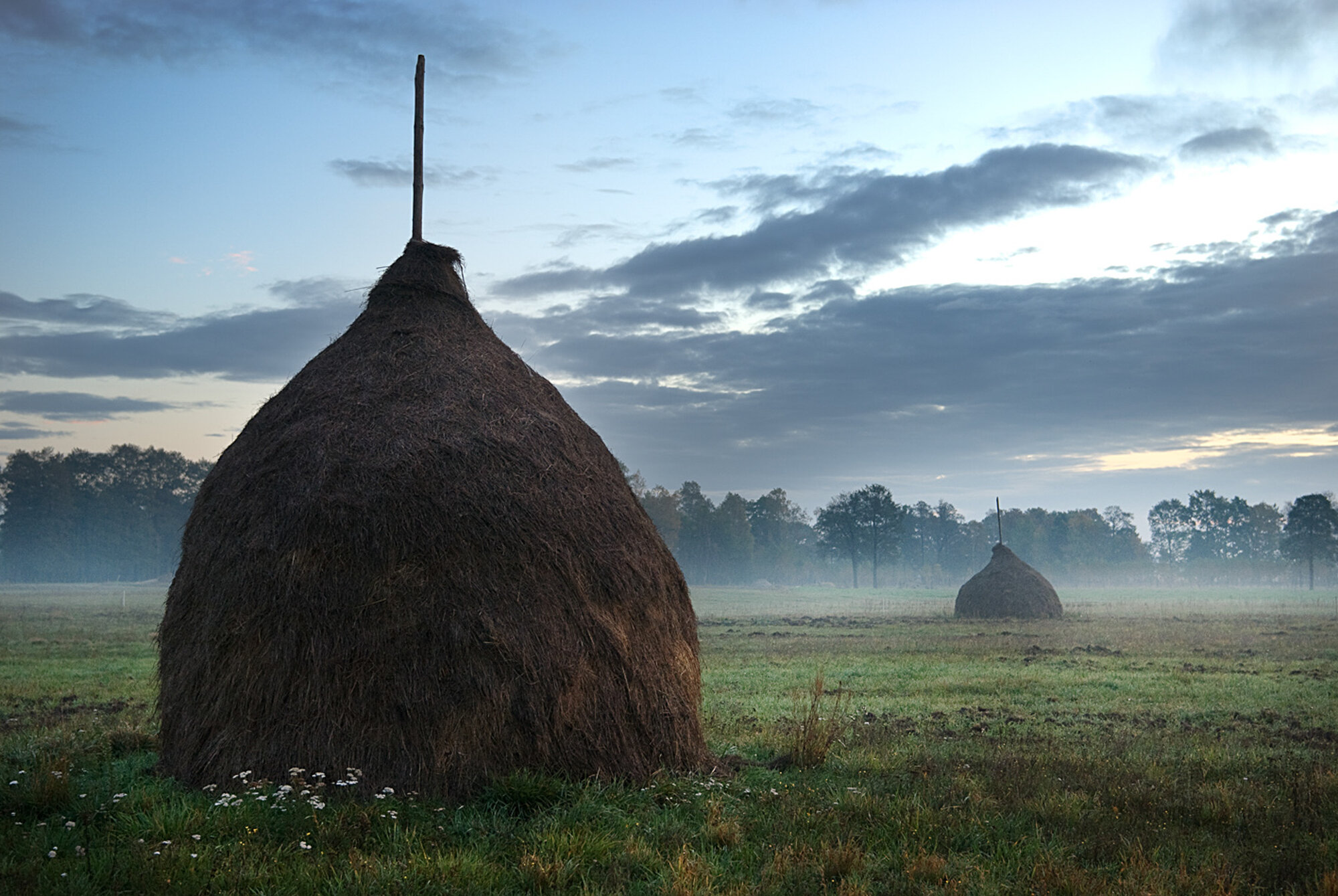 Podróżnicza — zdjęcie 40