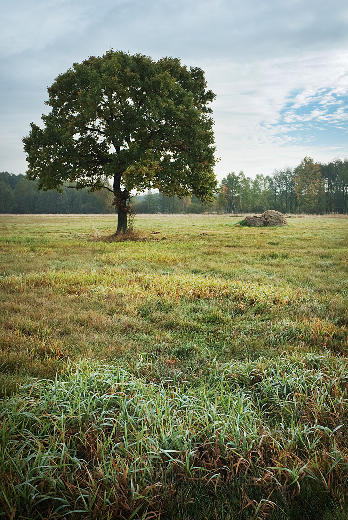 Podróżnicza — zdjęcie 41